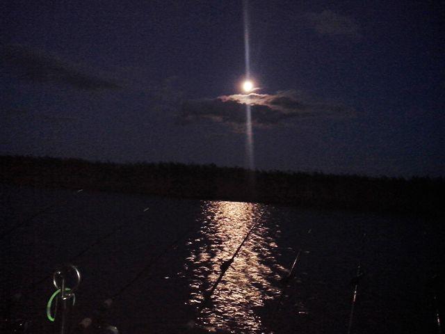 Sulina sept. 2013 - part. I - img20130918194348.jpg